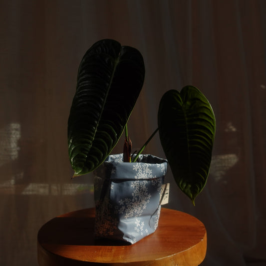 Pottcover holunder blau mini