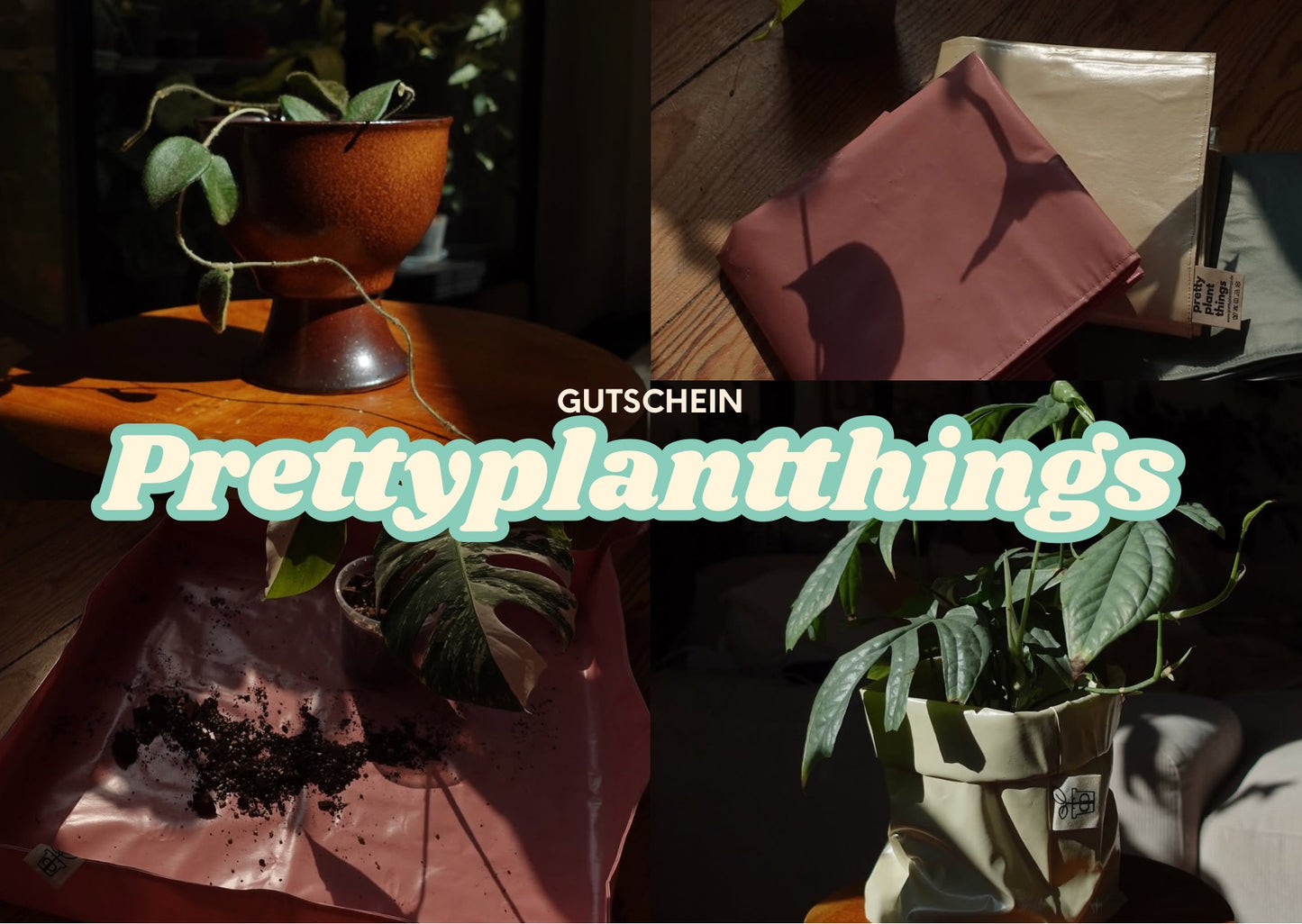 Prettyplantthings - Gutschein