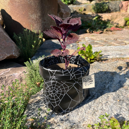 Spider Woman mini