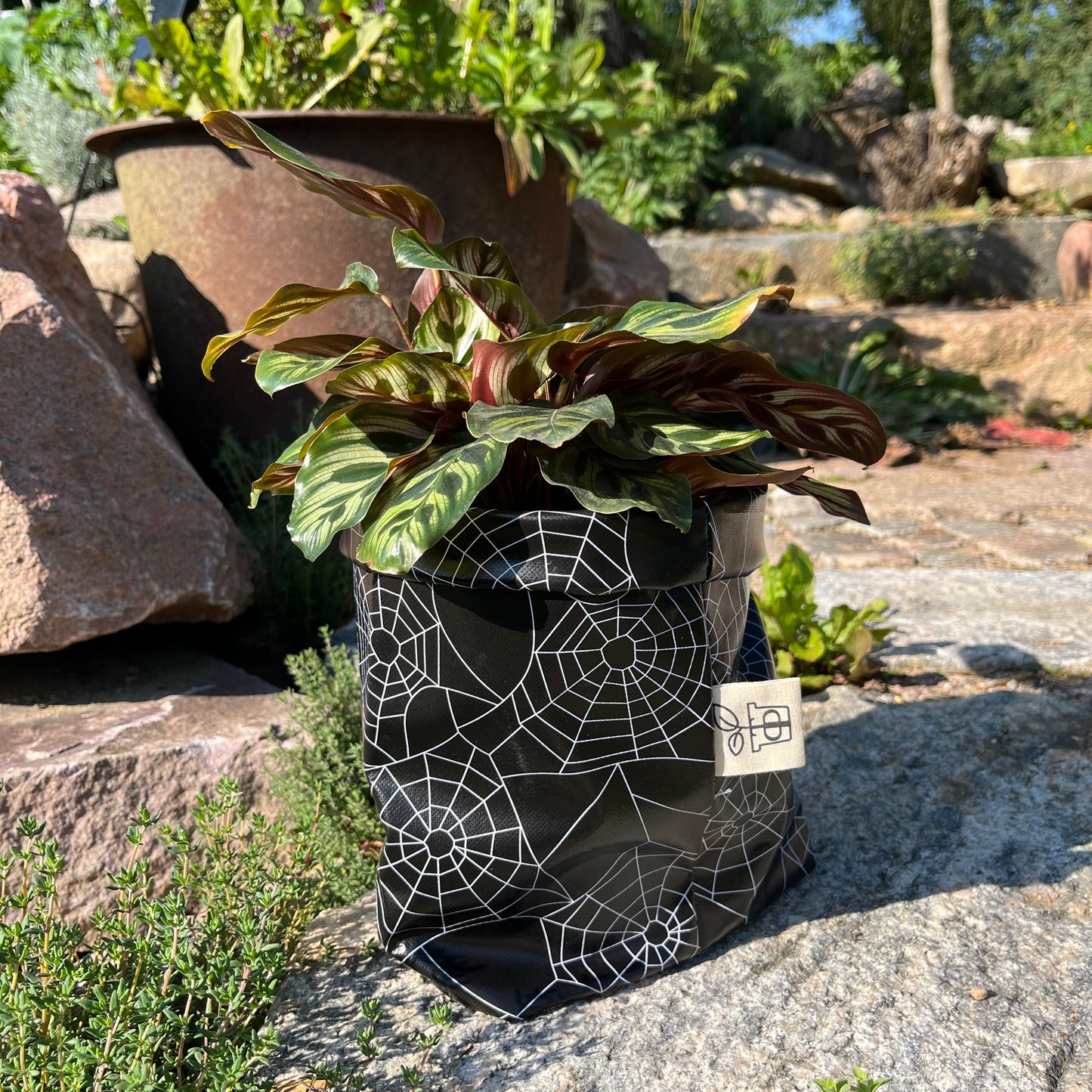 Spider Woman klein