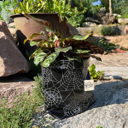 Spider Woman klein