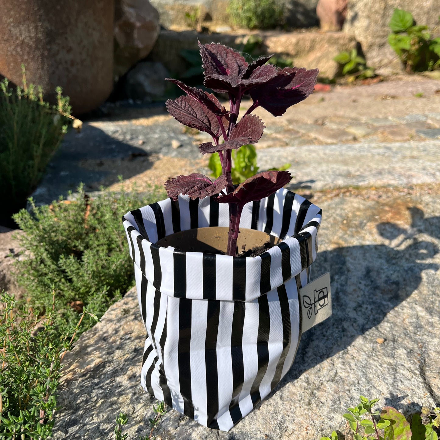 Beetlejuice, Beetlejuice mini