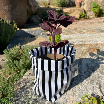 Beetlejuice, Beetlejuice mini