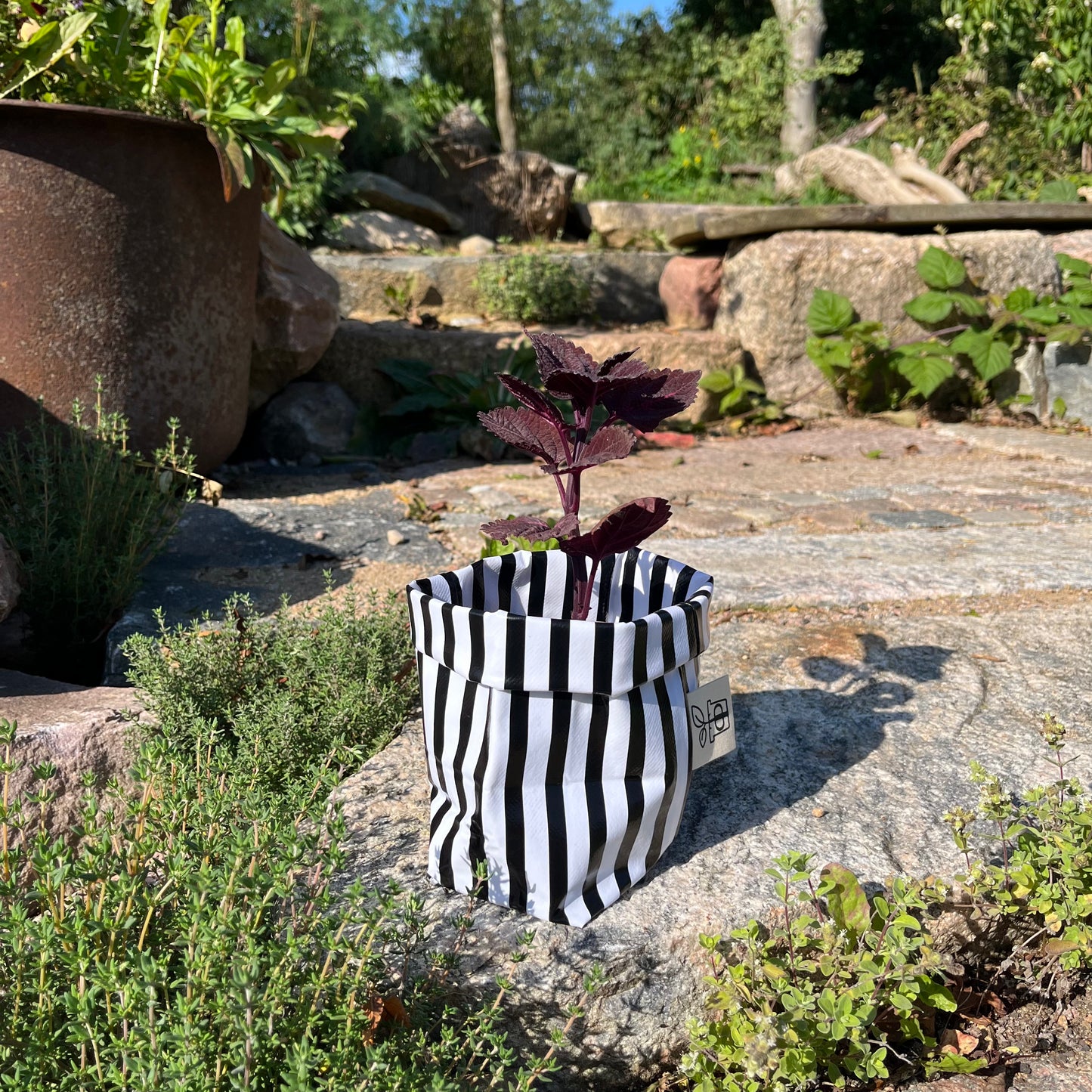 Beetlejuice, Beetlejuice mini