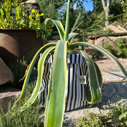 Beetlejuice, Beetlejuice groß