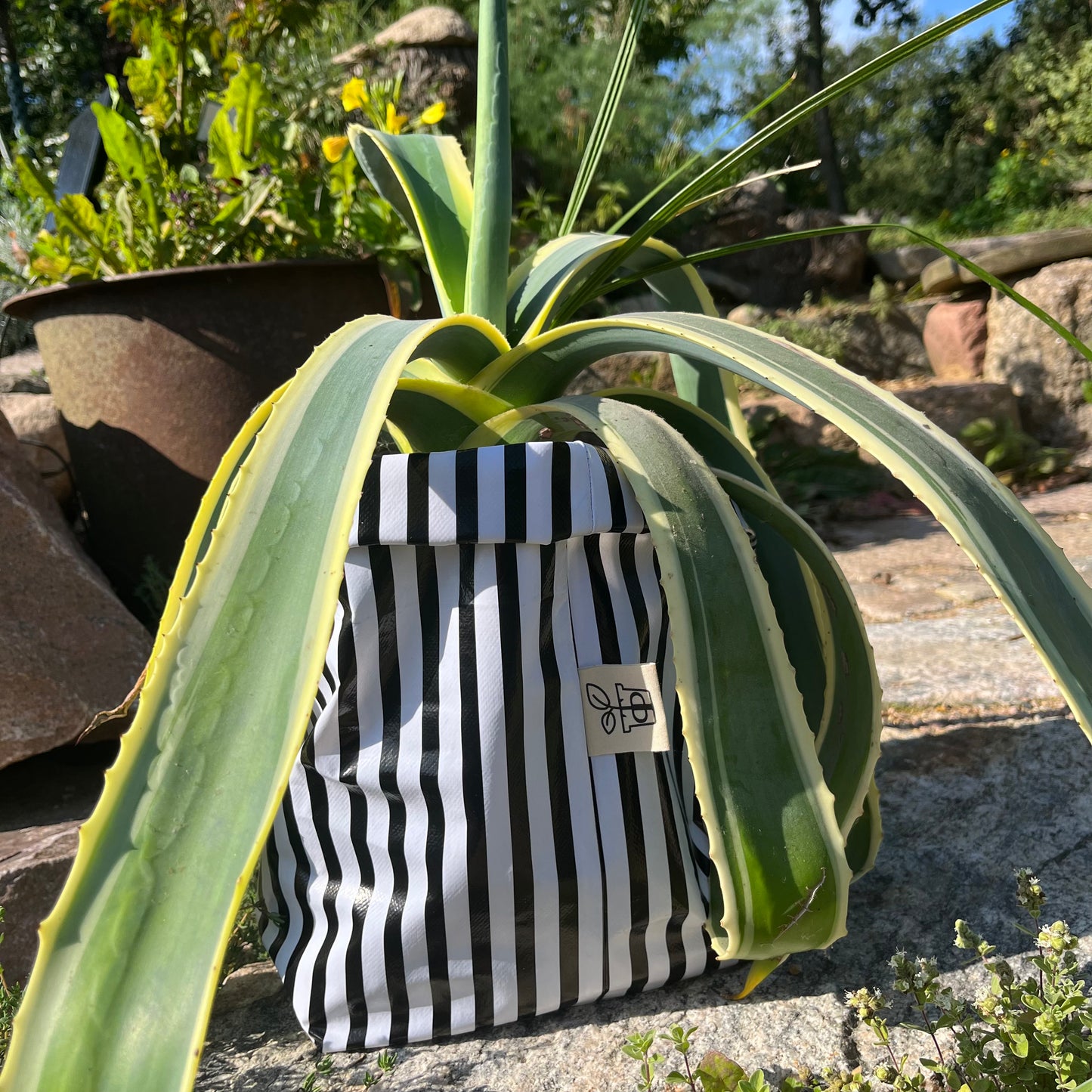 Beetlejuice, Beetlejuice groß