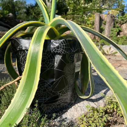 Spider Woman groß