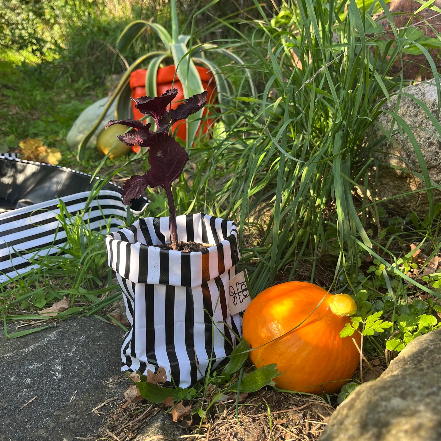 Beetlejuice, Beetlejuice mini