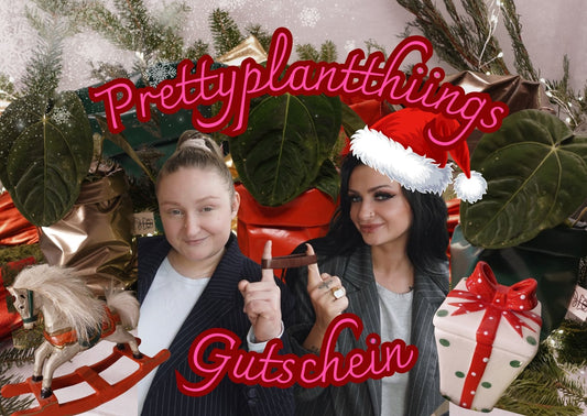 Gutschein - Prettyplantthings